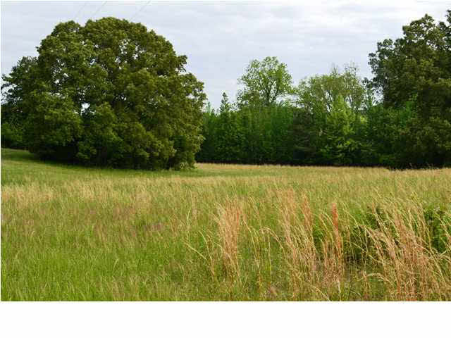 6951 Ebenezer-Pickens Road Pickens, MS 39146 - Photo 17 of 24 Photo 17