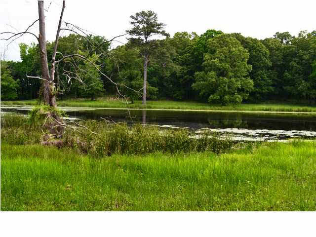 6951 Ebenezer-Pickens Road Pickens, MS 39146 - Photo 3 of 24 Photo 3
