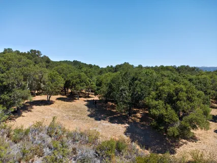 a view of a backyard of a house