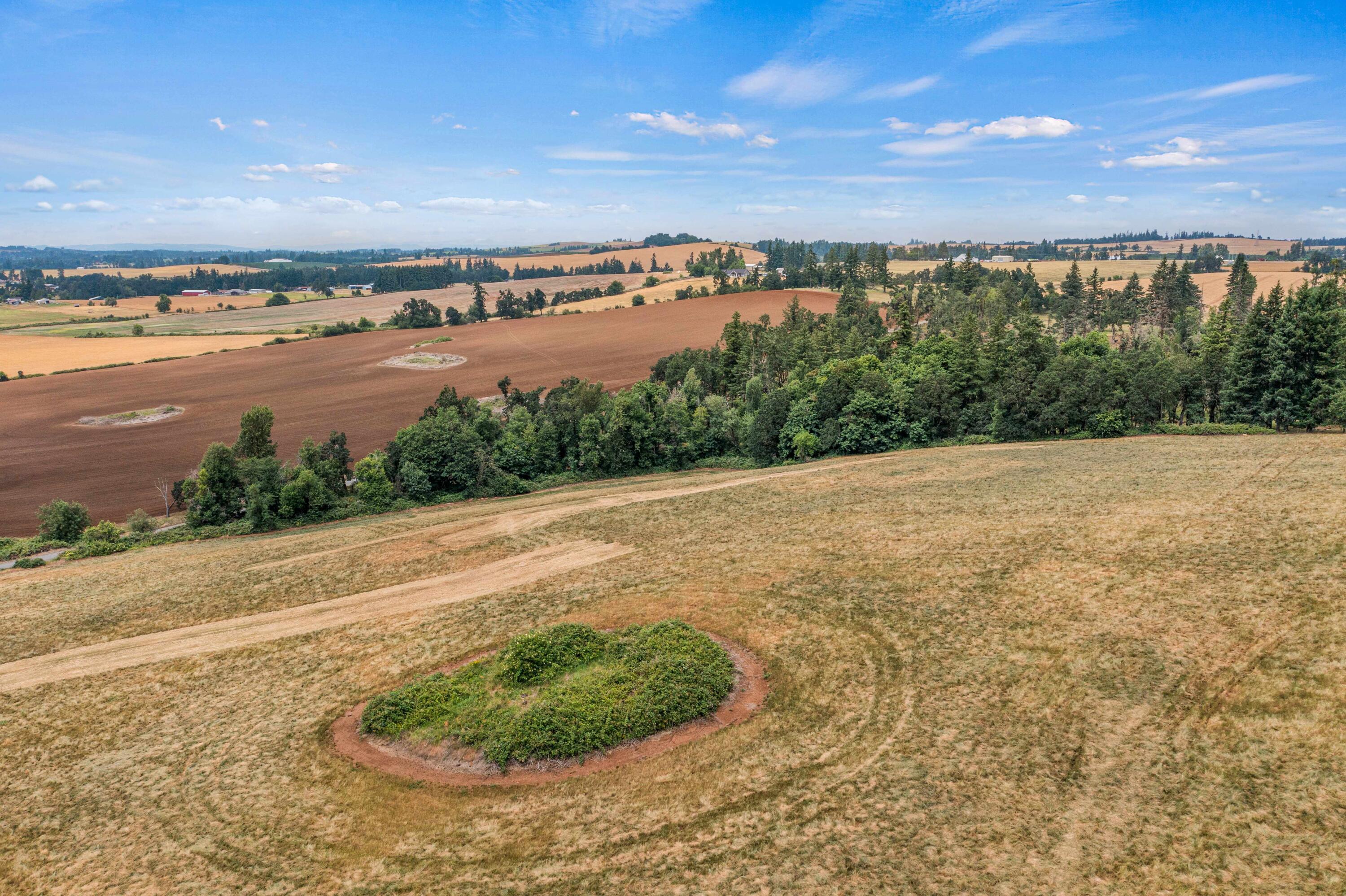 Anderson Road Northeast, Unit 100 Sublimity, OR 97385 - Photo 20 of 24 19DJI_0320