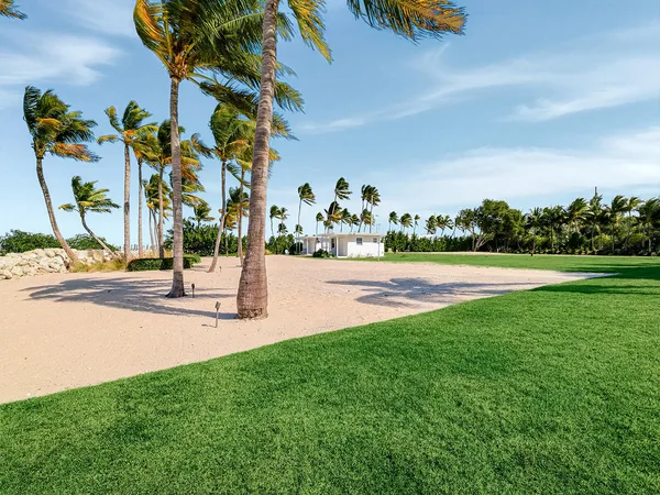 a view of a park