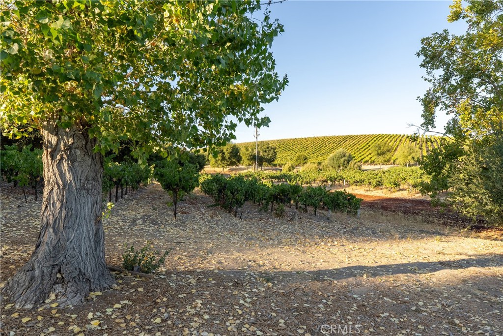 2925 Anderson Road Paso Robles, CA 93446 - Photo 61 of 69