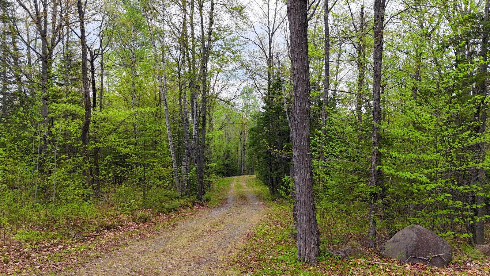 69 Tory Hill Road Phillips, ME 04966 - Photo 21 of 29 21-Driveway-001