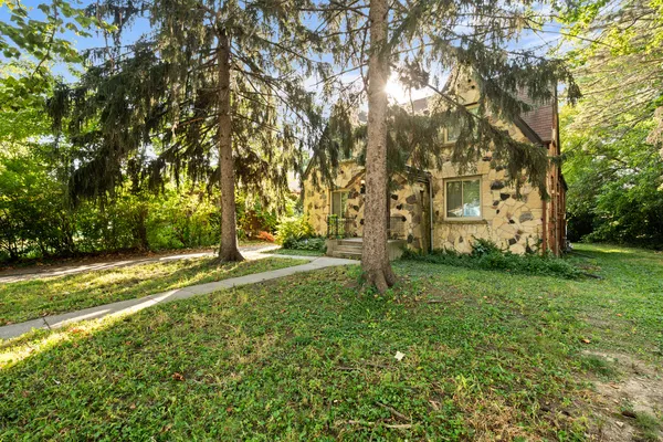 a view of a yard with a tree