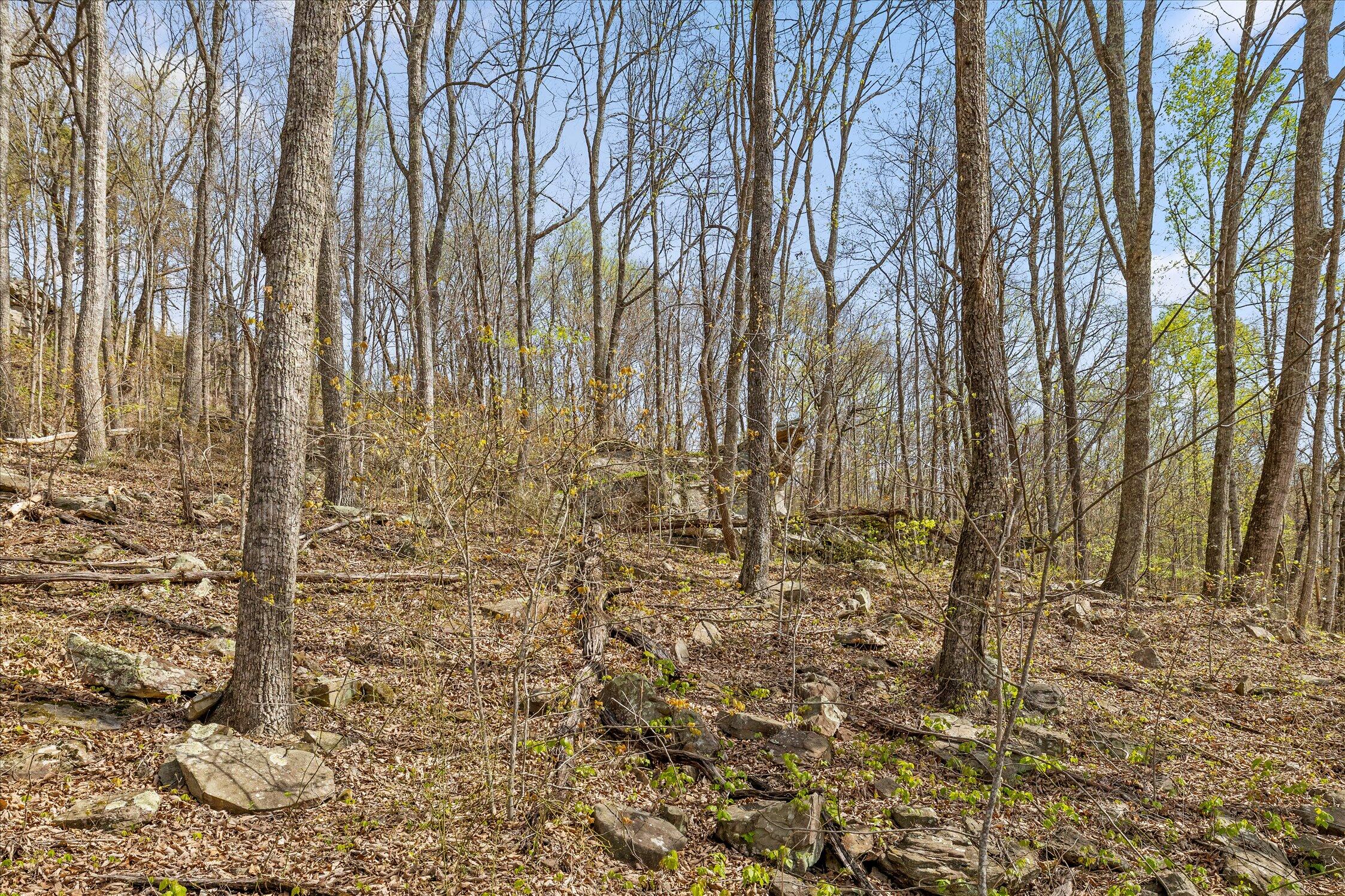 0 Keener Hill Road Pikeville, TN 37367 - Photo 12 of 35 0 Keener Hill Rd.