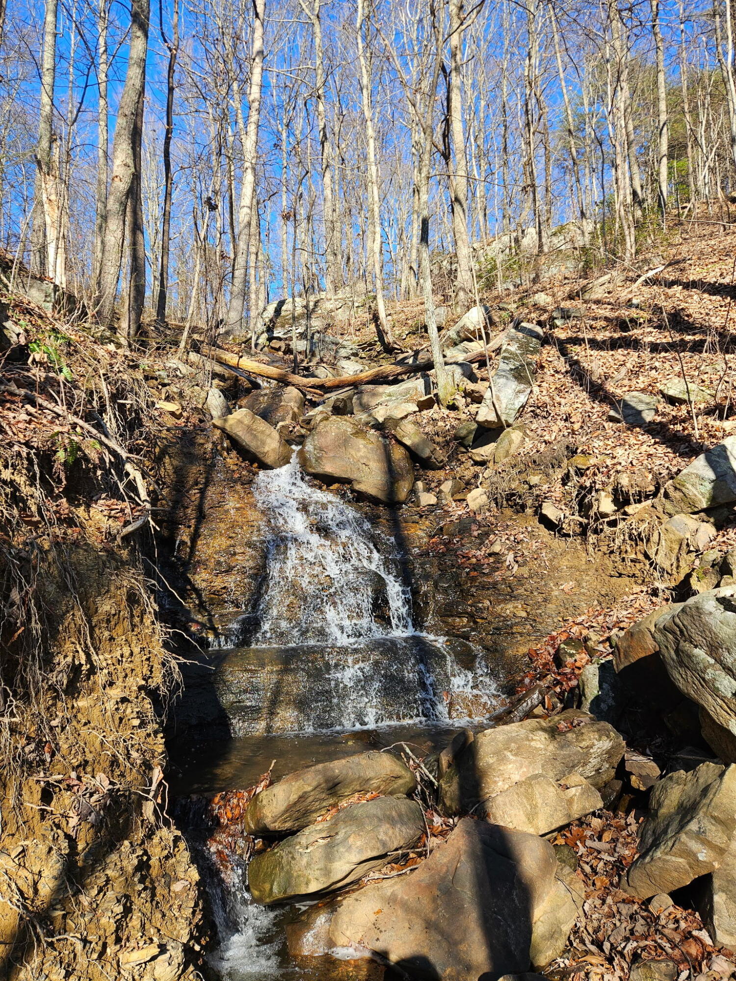 0 Keener Hill Road Pikeville, TN 37367 - Photo 13 of 35 0 Keener Hill Rd.