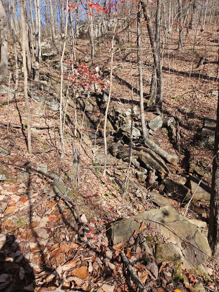 0 Keener Hill Road Pikeville, TN 37367 - Photo 17 of 35 0 Keener Hill Rd.