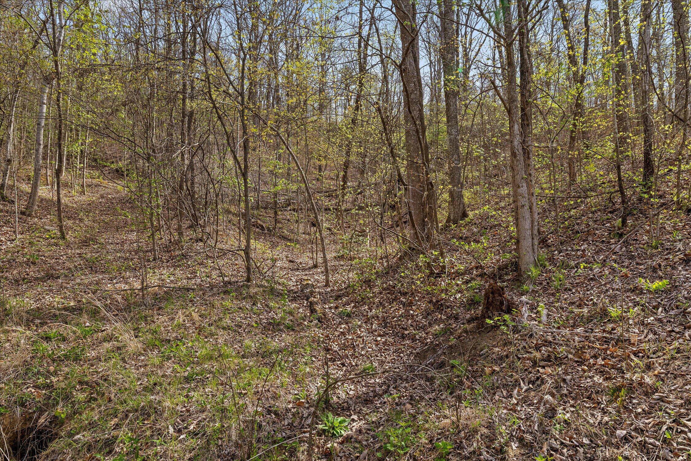 0 Keener Hill Road Pikeville, TN 37367 - Photo 19 of 35 0 Keener Hill Rd.