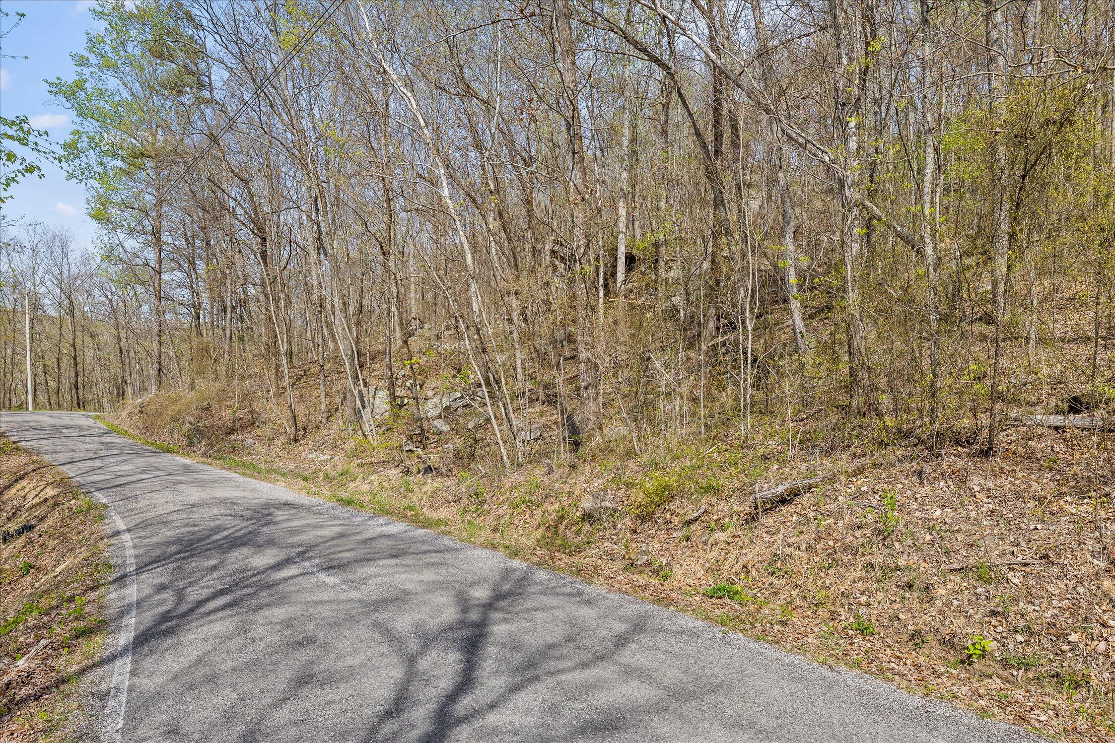 0 Keener Hill Road Pikeville, TN 37367 - Photo 21 of 35 0 Keener Hill Rd.