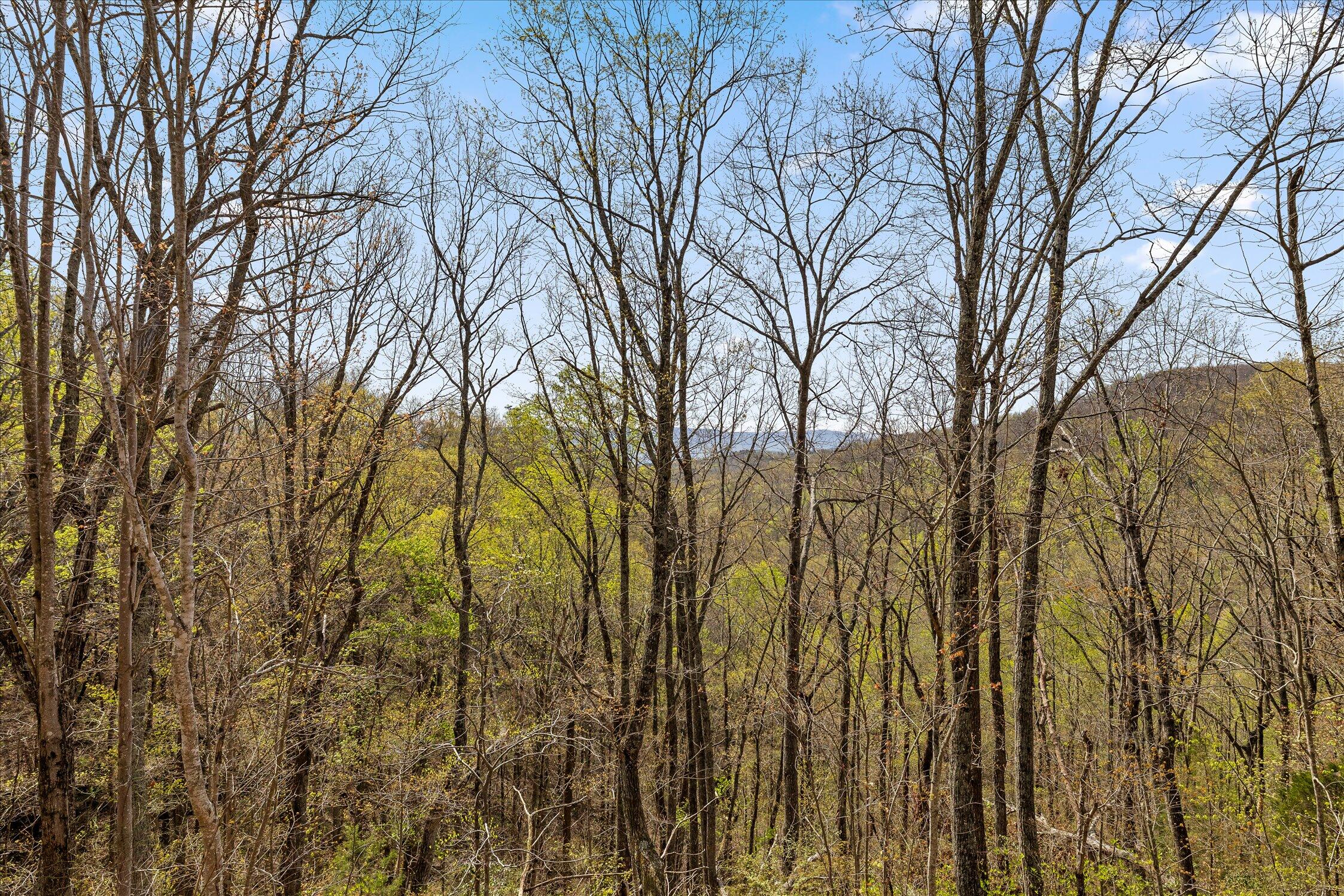 0 Keener Hill Road Pikeville, TN 37367 - Photo 26 of 35 0 Keener Hill Rd.