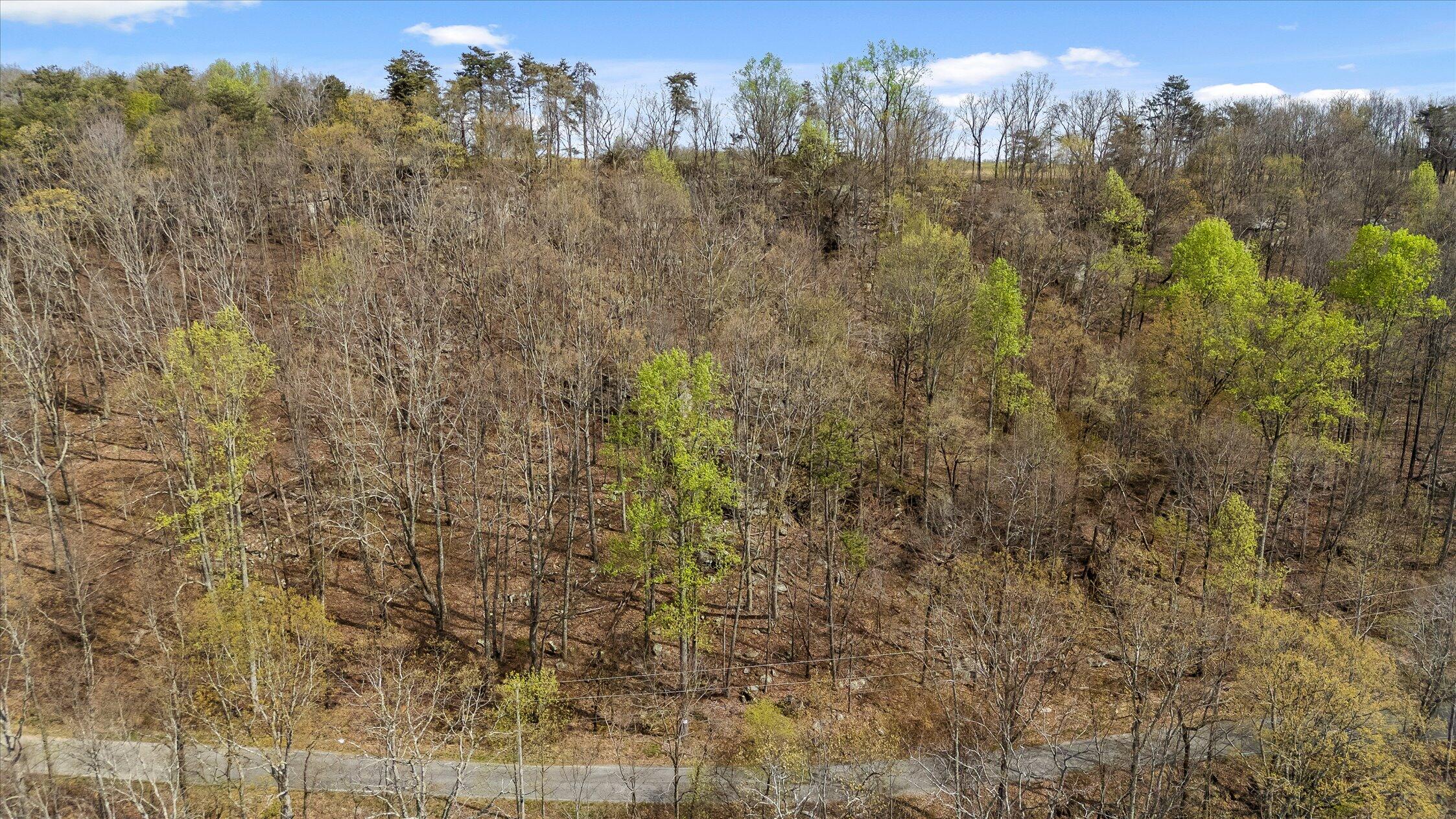 0 Keener Hill Road Pikeville, TN 37367 - Photo 29 of 35 0 Keener Hill Rd.