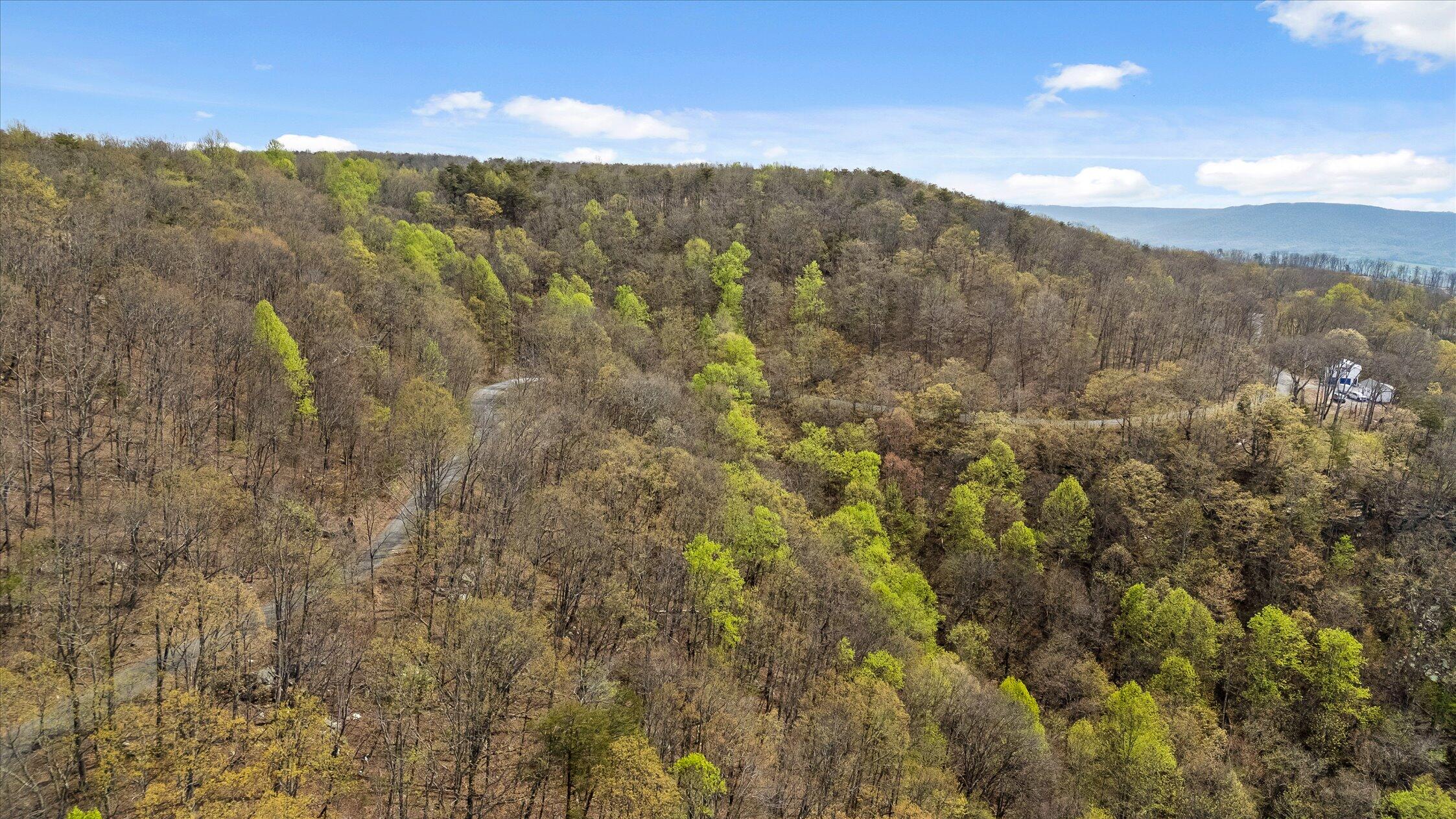 0 Keener Hill Road Pikeville, TN 37367 - Photo 30 of 35 0 Keener Hill Rd.
