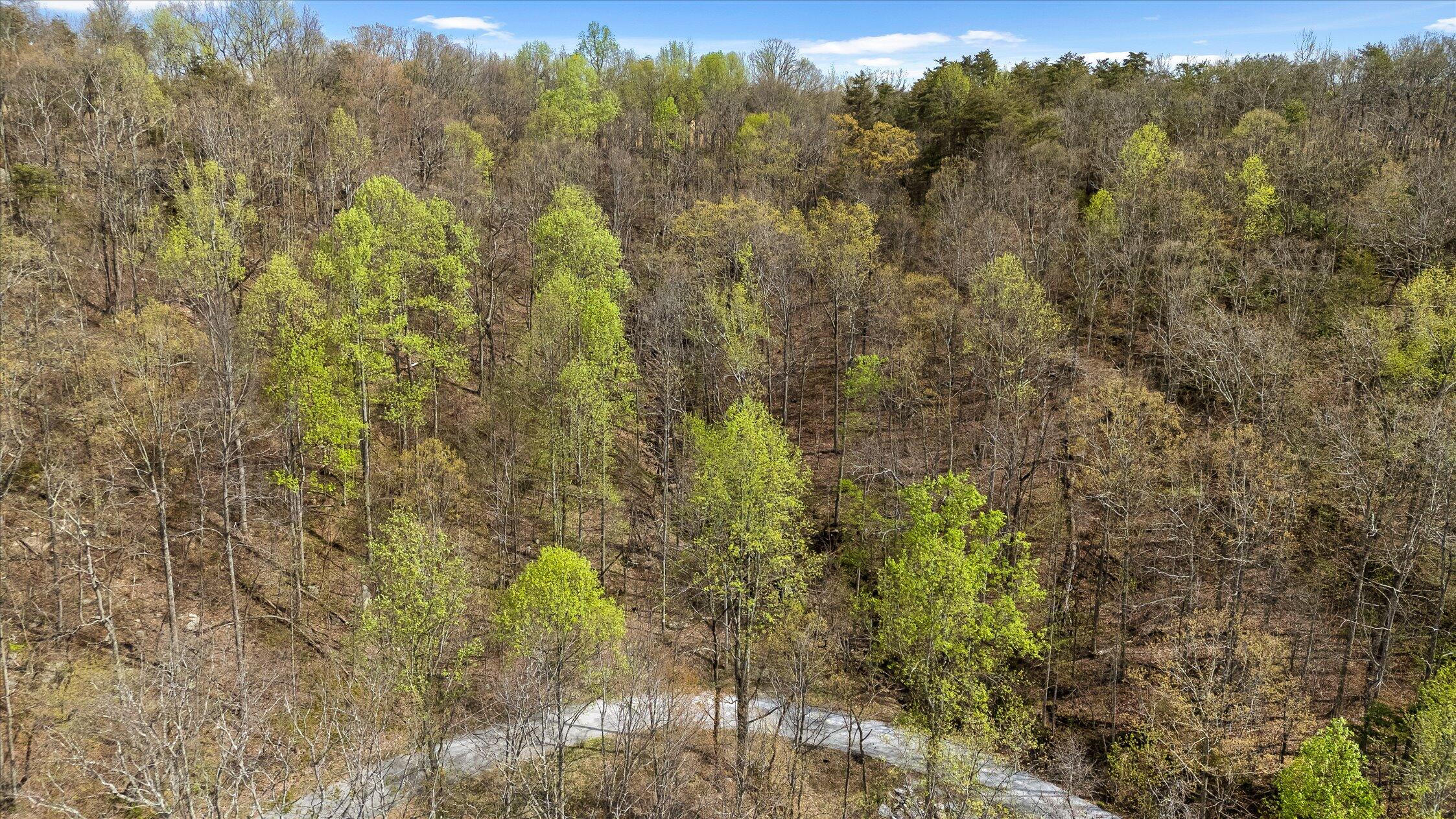 0 Keener Hill Road Pikeville, TN 37367 - Photo 35 of 35 0 Keener Hill Rd.