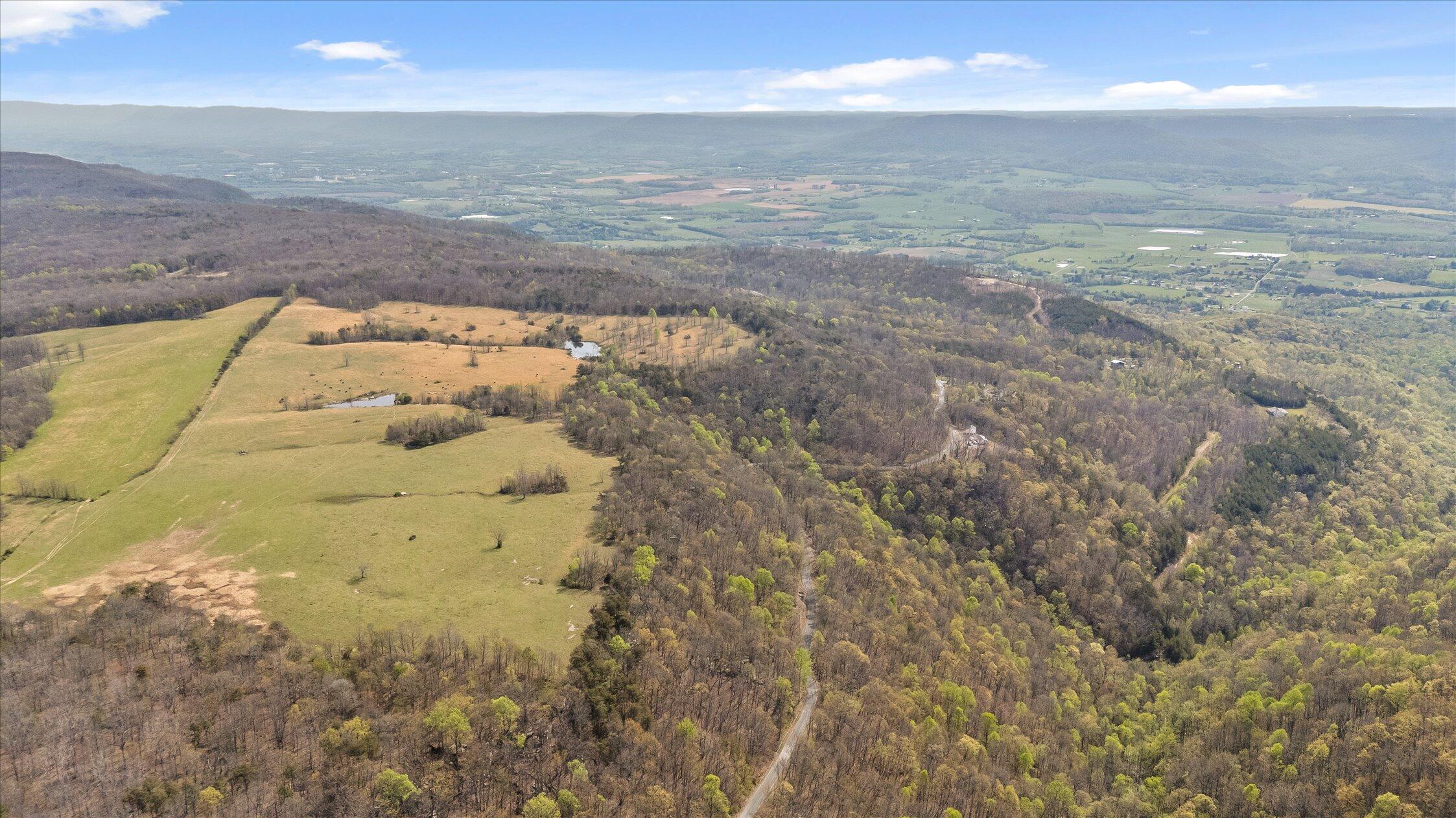 0 Keener Hill Road Pikeville, TN 37367 - Photo 4 of 35 0 Keener Hill Rd.