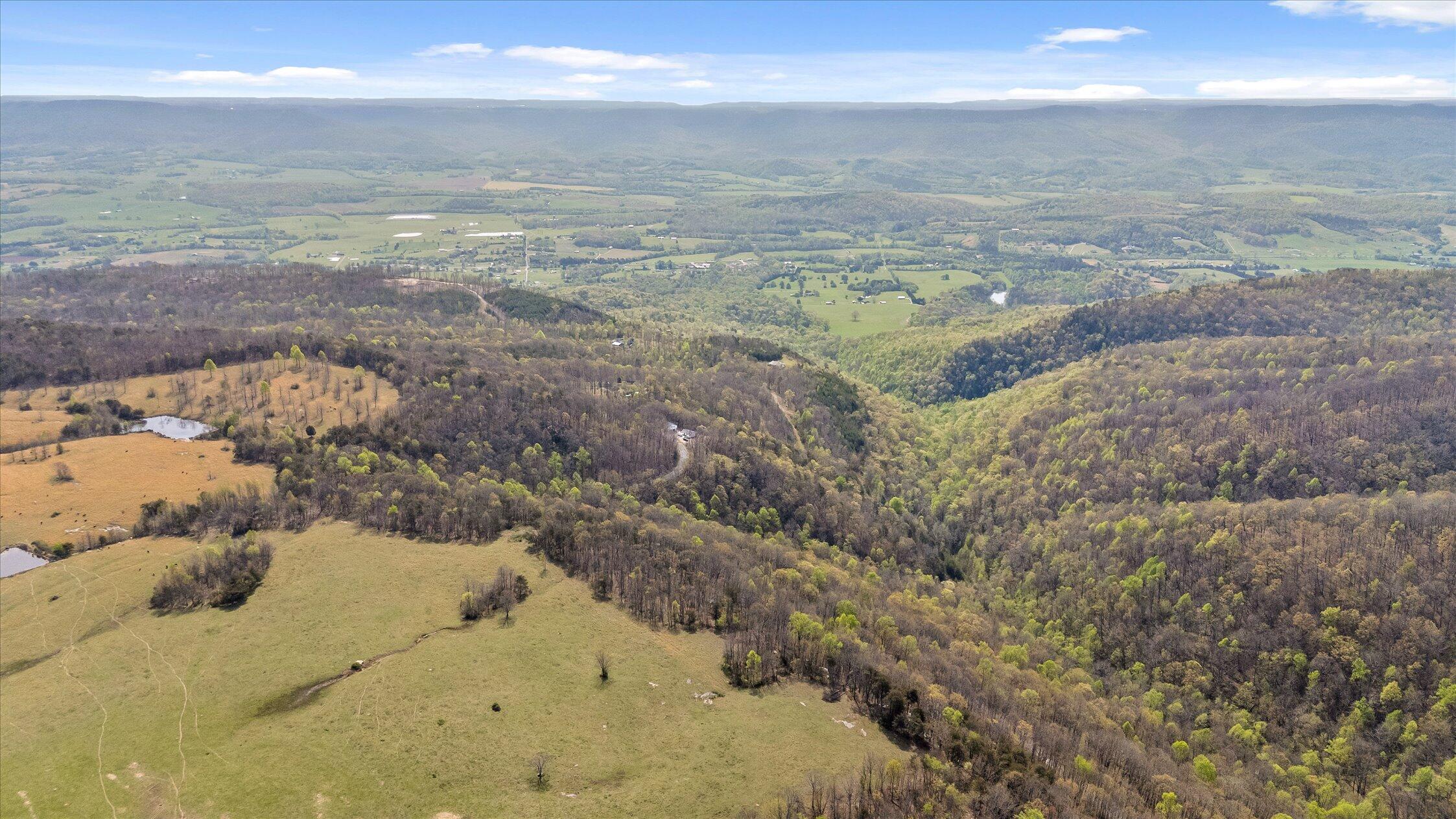 0 Keener Hill Road Pikeville, TN 37367 - Photo 5 of 35 0 Keener Hill Rd.