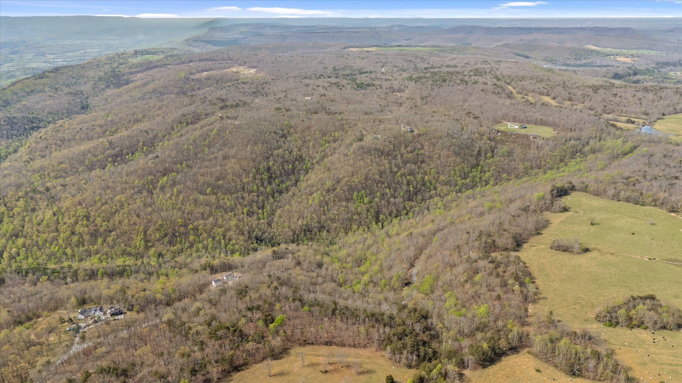 0 Keener Hill Road Pikeville, TN 37367 - Photo 6 of 35 0 Keener Hill Rd.