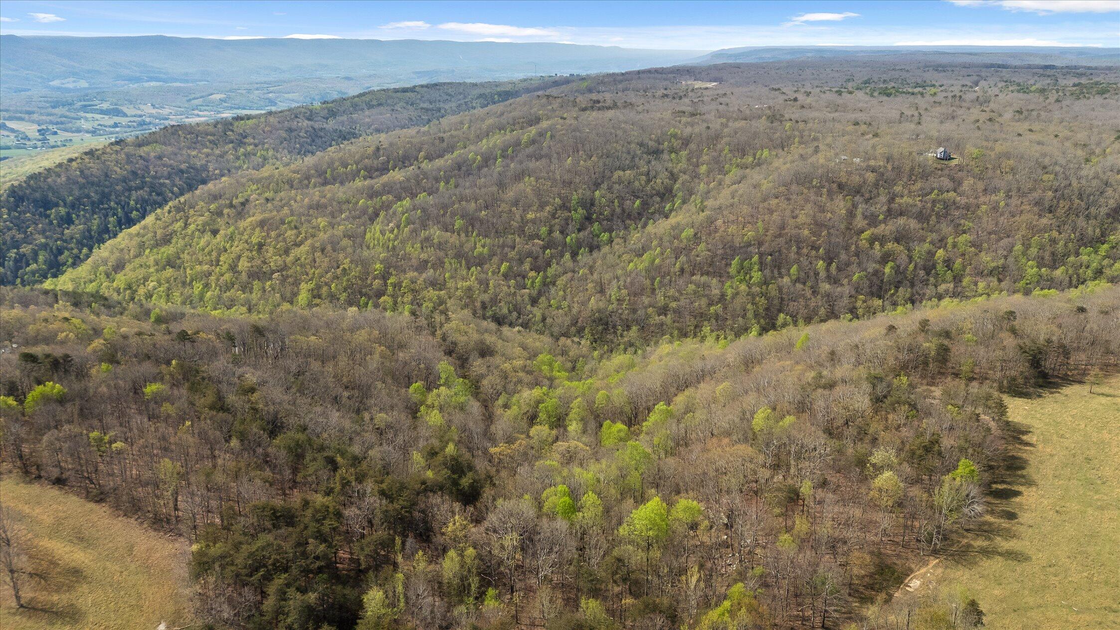 0 Keener Hill Road Pikeville, TN 37367 - Photo 9 of 35 0 Keener Hill Rd.