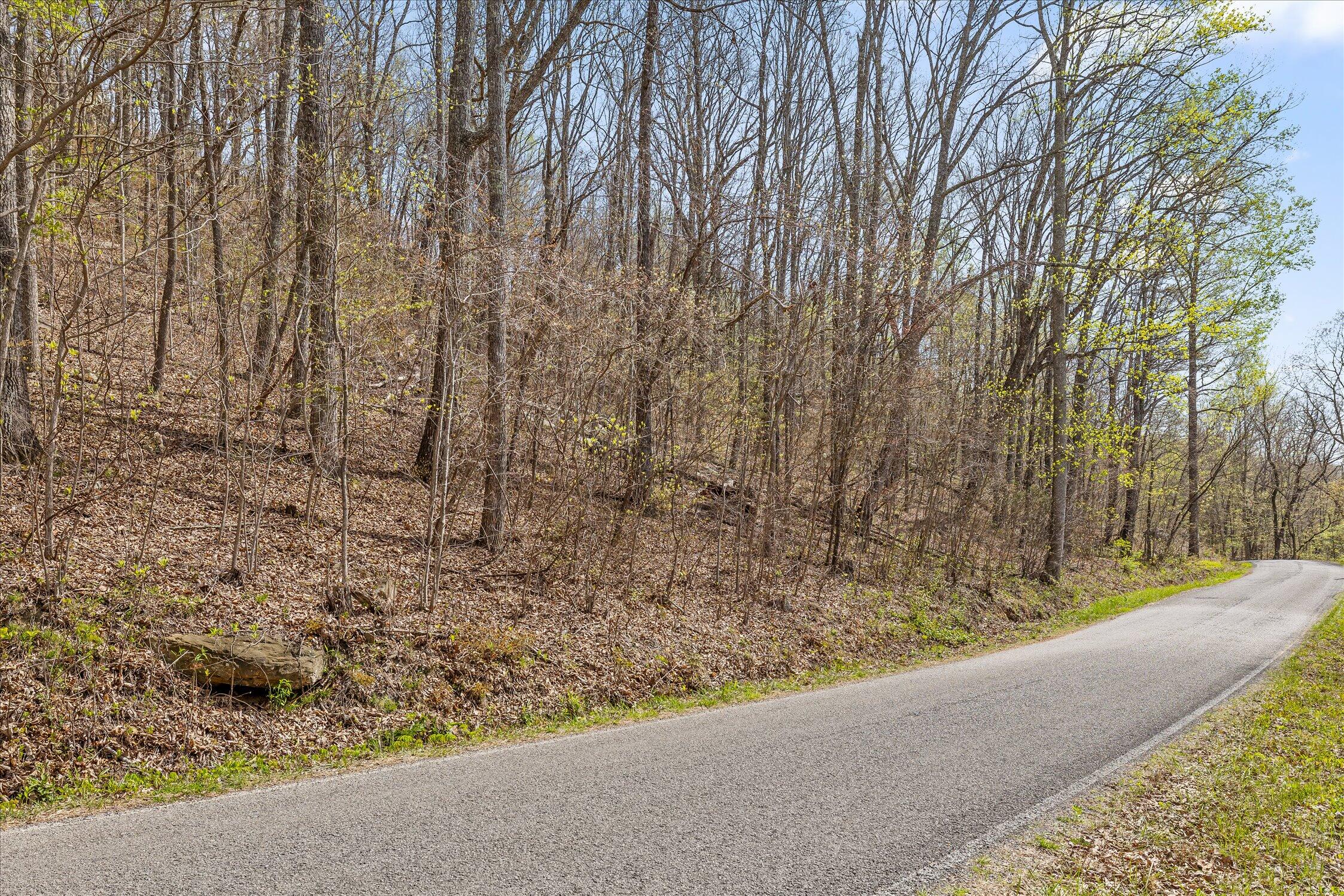 0 Keener Hill Road Pikeville, TN 37367 - Photo 10 of 35 0 Keener Hill Rd.