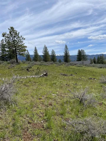 $109,900 | Tbd Yarrow Drive, New Meadows, ID 83654