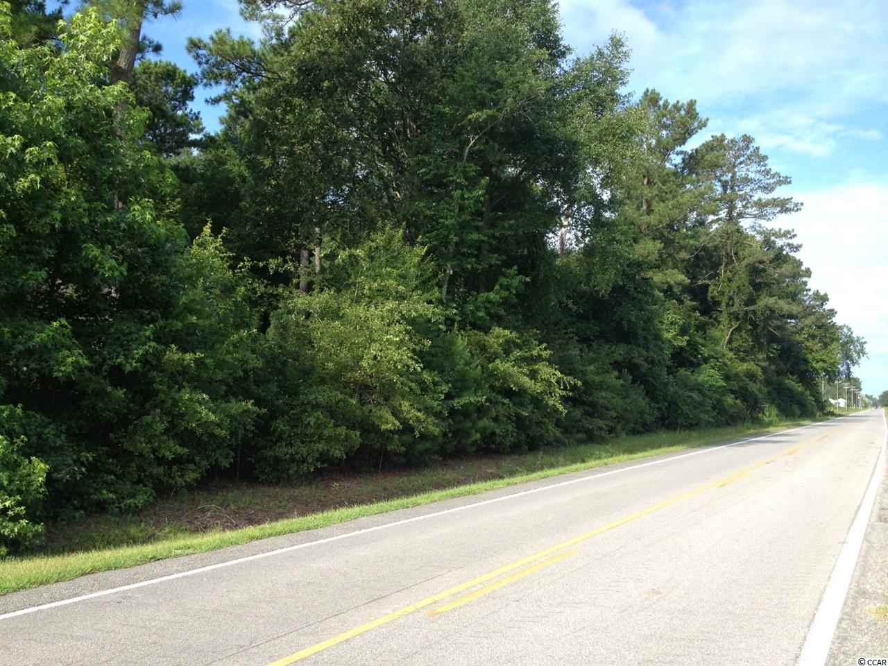 0 Horry Road Aynor, SC 29511 - Photo 1 of 3 Gallery Image 1