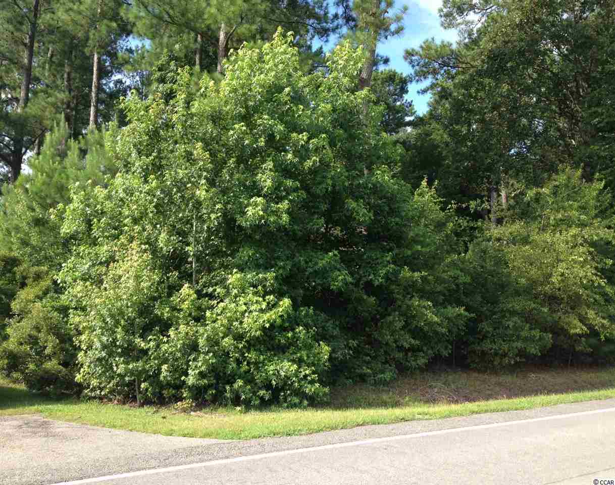 0 Horry Road Aynor, SC 29511 - Photo 2 of 3 Gallery Image 2