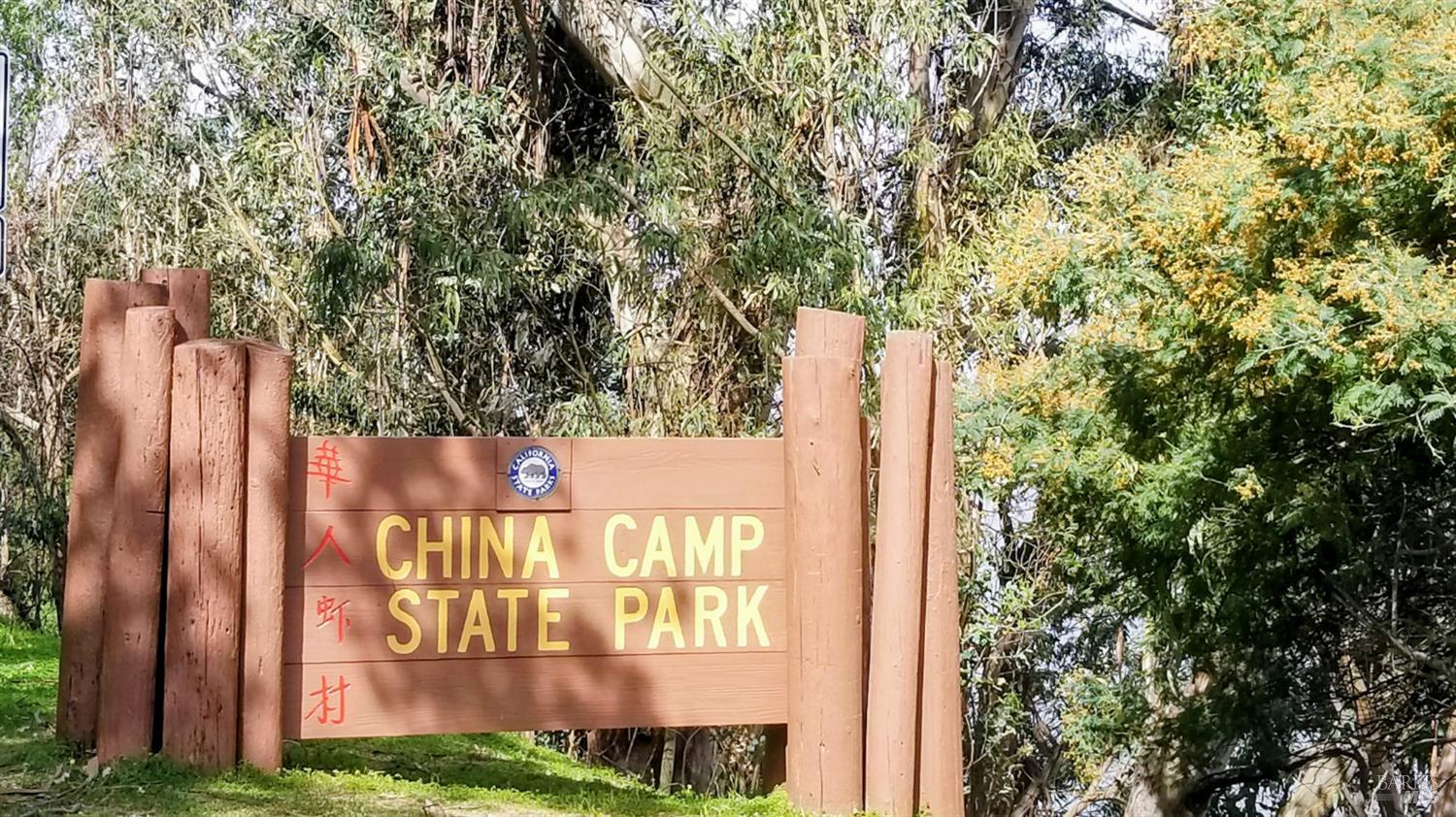 136 Peacock Drive San Rafael, CA 94901 - Photo 43 of 46