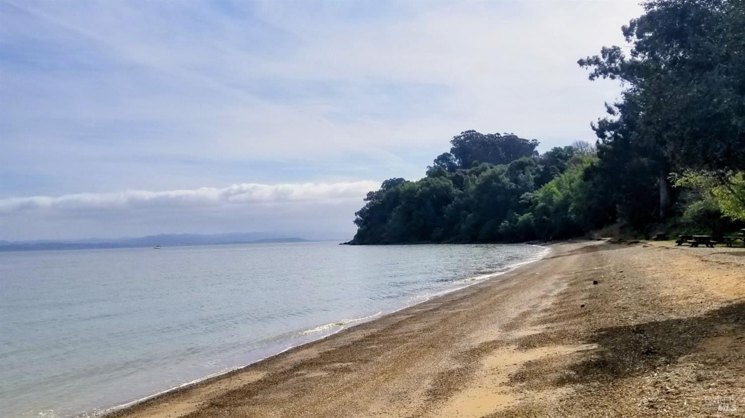 136 Peacock Drive San Rafael, CA 94901 - Photo 44 of 46