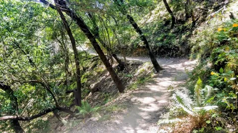 $2,265,000 | 136 Peacock Drive, San Rafael, CA 94901