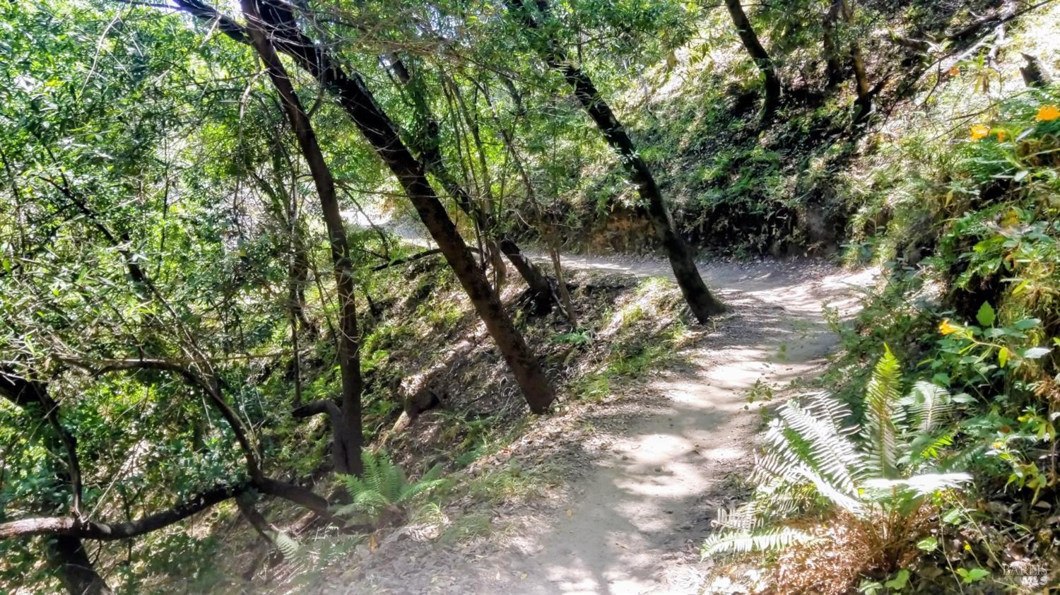 136 Peacock Drive San Rafael, CA 94901 - Photo 45 of 46