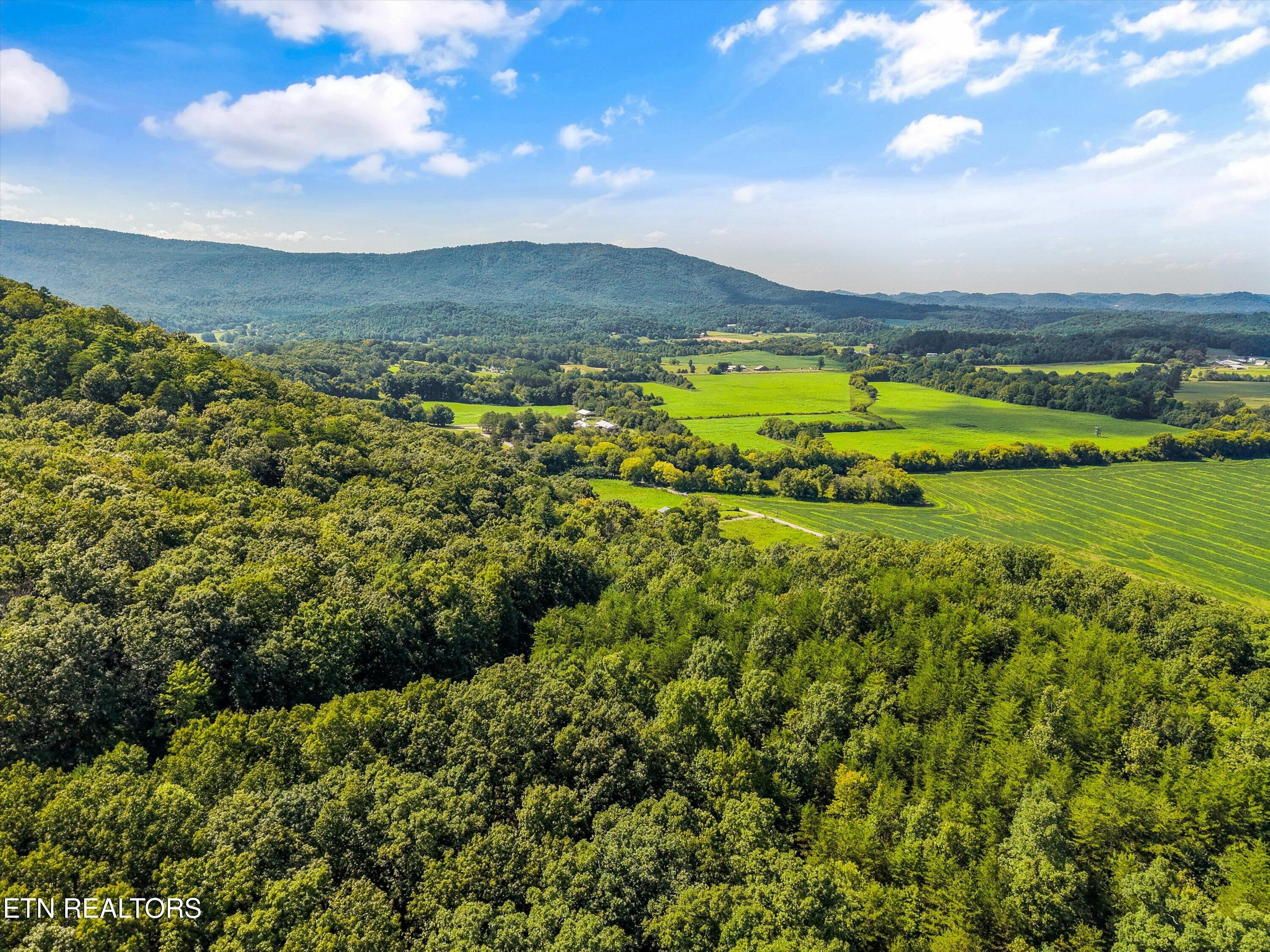 332 Rural Vale Road Tellico Plains, TN 37385 - Photo 60 of 60 60-332 Rural Vale Rd 58