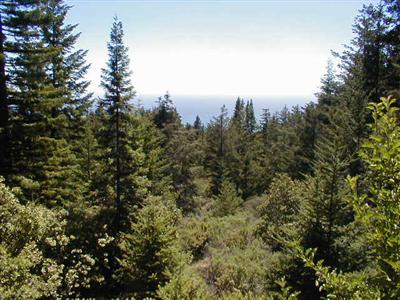 35840 Tan Bark Road Gualala, CA 95445 - Photo 1 of 7 a view of a city