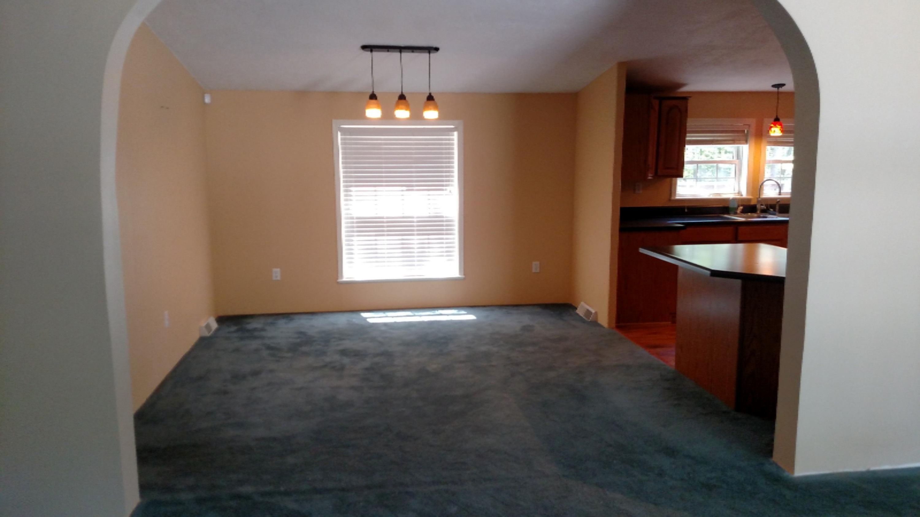 20899 1 Mile Road Morley, MI 49336 - Photo 11 of 30 IMG_20150801_125503544