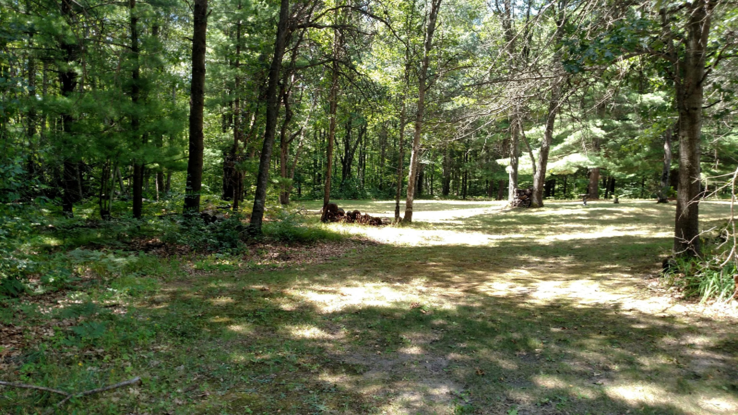 20899 1 Mile Road Morley, MI 49336 - Photo 3 of 30 IMG_20150801_124120751