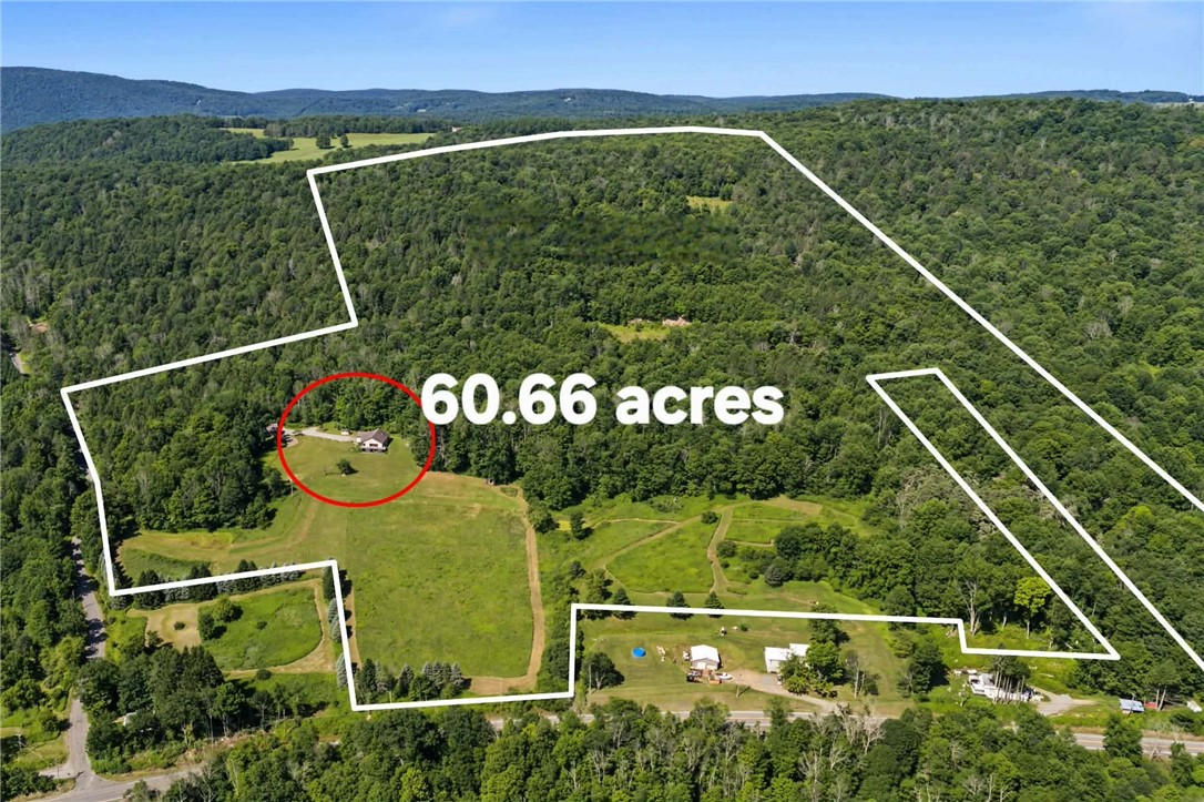 469 Murphy Hill Road Walton, NY 13856 - Photo 5 of 43 Gallery Image 5