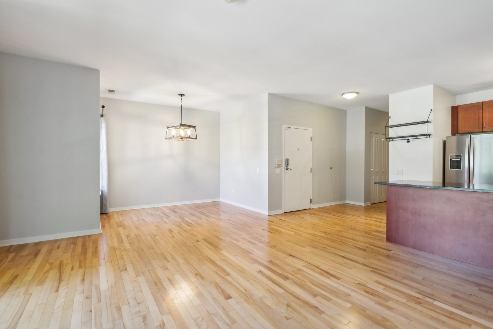 1033 South Lytle Street, Unit 201 Chicago, IL 60607 - Photo 6 of 35 a view of a livingroom with wooden floor