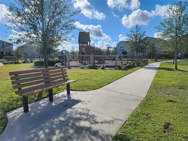 a view of a park with large trees