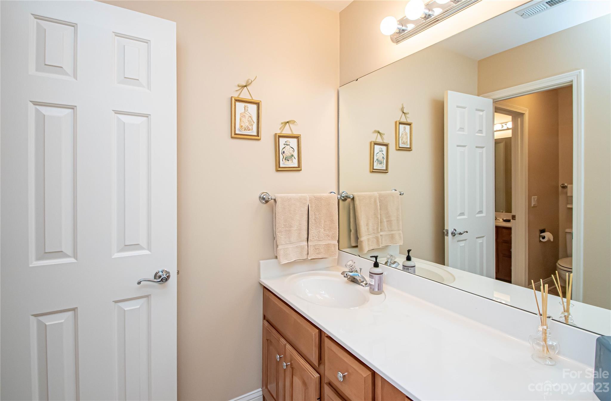 2100 Peterborough Lane Charlotte, NC 28270 - Photo 36 of 48 a bathroom with a sink and a mirror