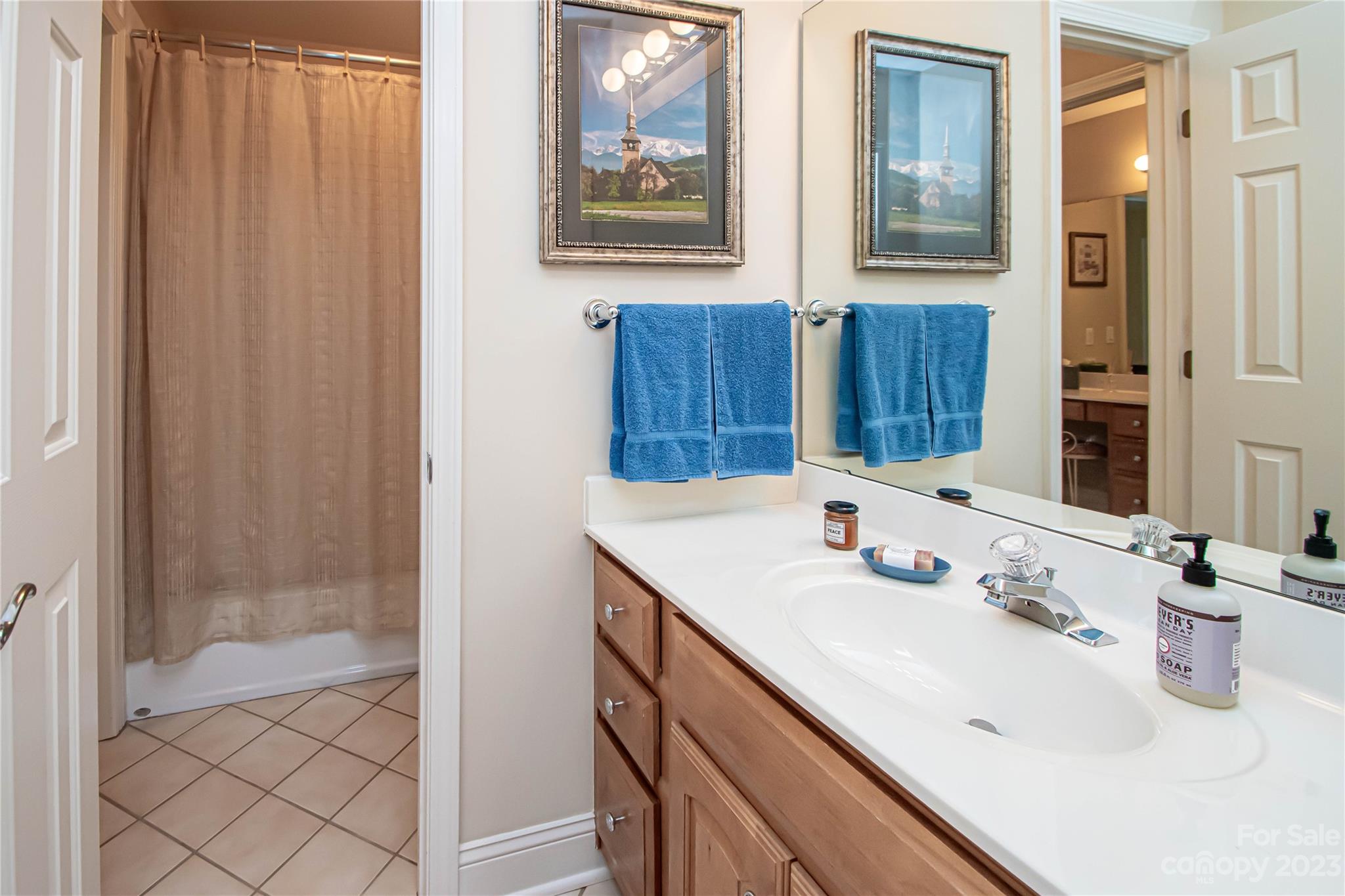 2100 Peterborough Lane Charlotte, NC 28270 - Photo 37 of 48 a bathroom with a sink and a mirror