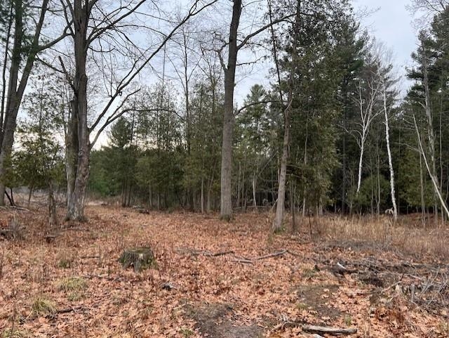 0 North Miller Road East Tawas, MI 48730 - Photo 21 of 23