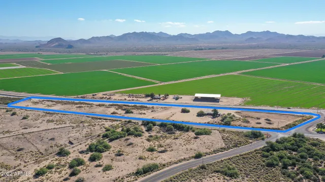 a view of a two chair and a big yard with large trees