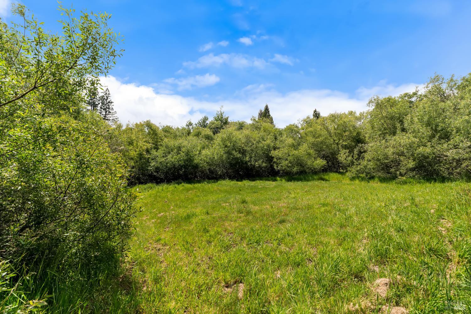 10033 Mill Station Road Sebastopol, CA 95472 - Photo 21 of 21