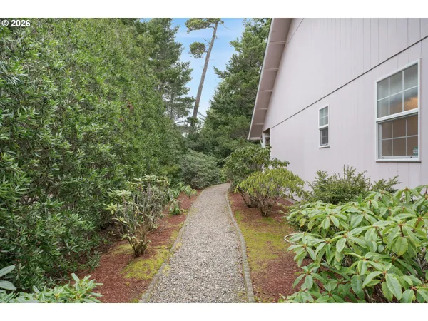 a view of a backyard with plants