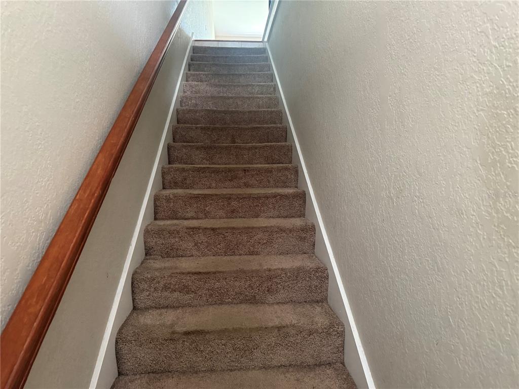 1055 Normandy Trace Road Tampa, FL 33602 - Photo 2 of 17