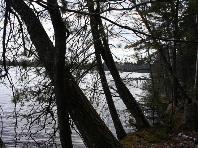 On Chain O Lakes Road, Unit LOT 2 Eagle River, WI 54521 - Photo 10 of 11 Gallery Image 10