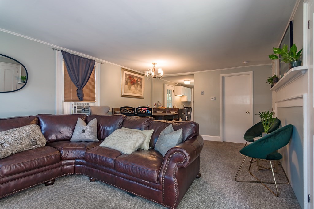 139 Baldwin Street Lowell, MA 01851 - Photo 5 of 39 a living room with furniture a couch and a potted plant