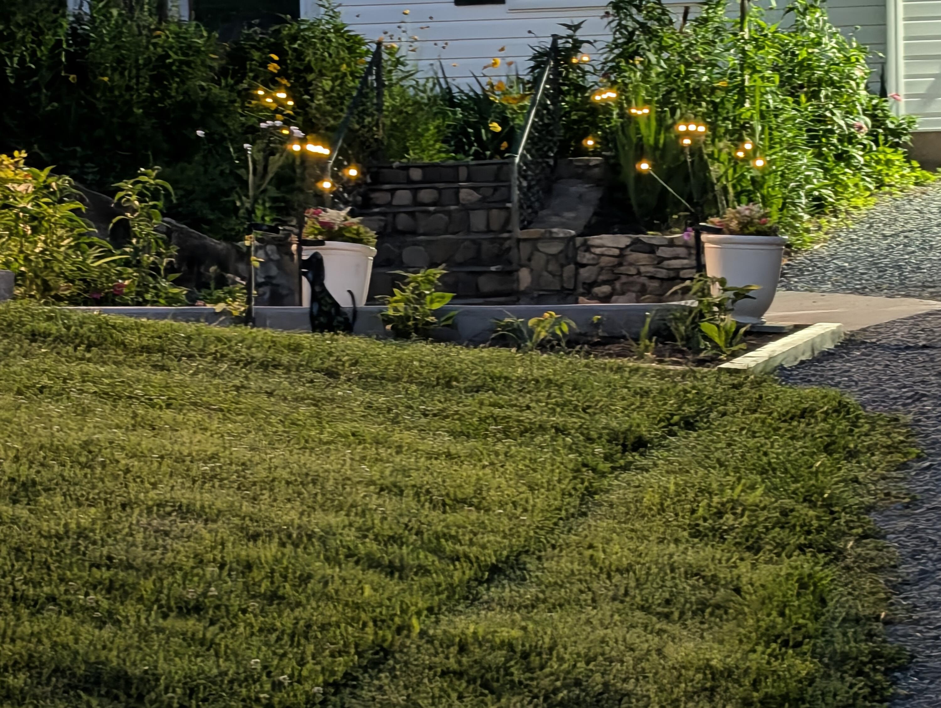 3994 Springwood Road Fincastle, VA 24090 - Photo 53 of 58 376
