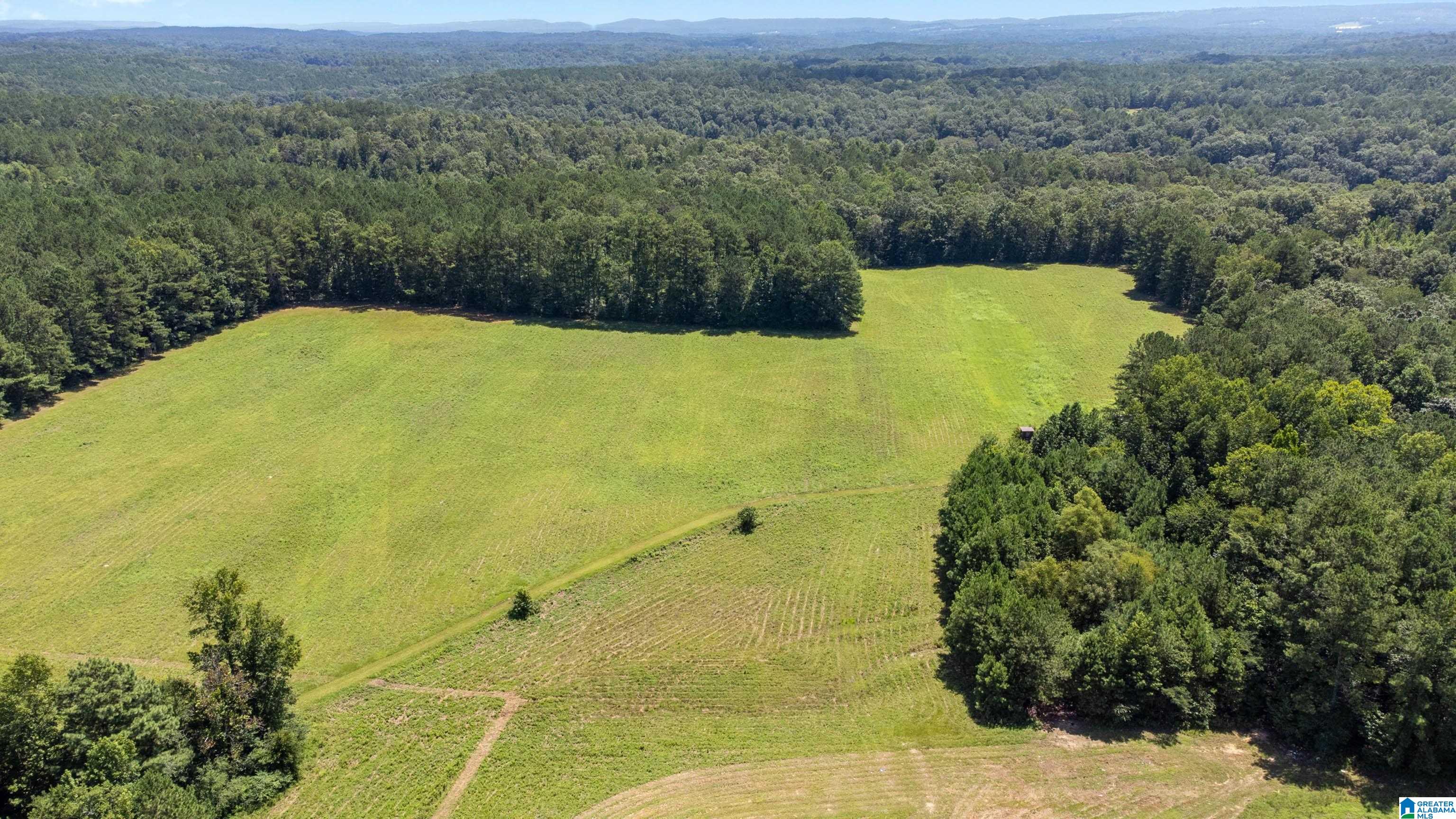 2105 Wallstown Road Hayden, AL 35079 - Photo 32 of 37