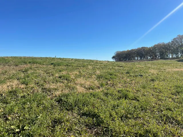 $99,900 | Tbd 483rd Avenue, Parkers Prairie, MN 56361