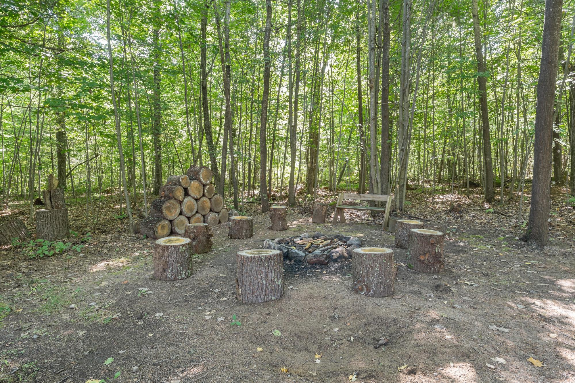 7651 Trout Road Lake Tomahawk, WI 54539 - Photo 43 of 74 Gallery Image 43