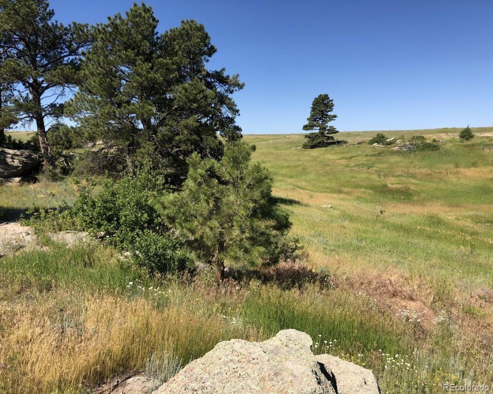 3 County Road 94 Elbert, CO 80106 - Photo 11 of 15